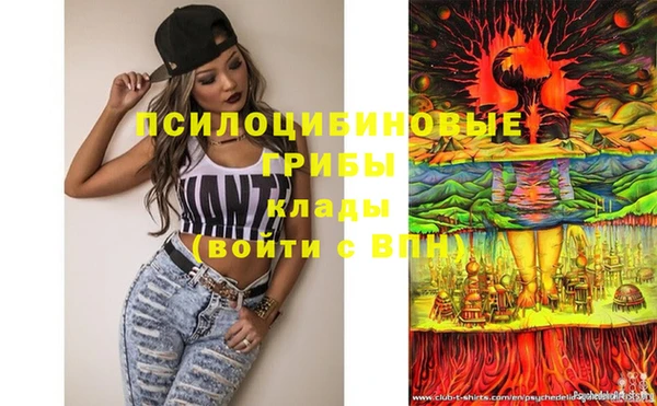 МДПВ Бородино