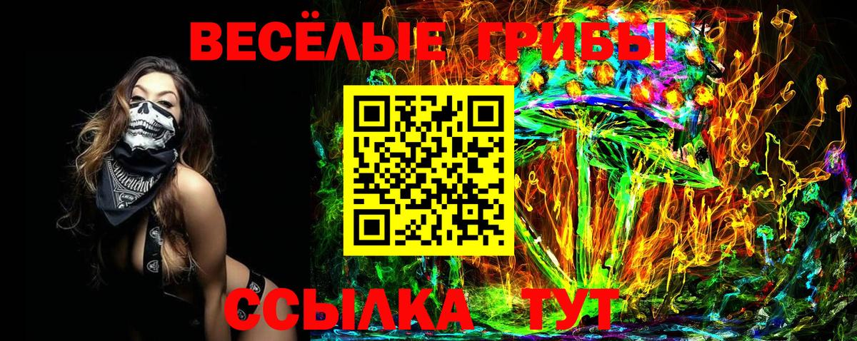 Псилоцибиновые грибы MAGIC MUSHROOMS  Вход с VPN  Псилоцибиновые грибы мухоморы  Губкинский 
