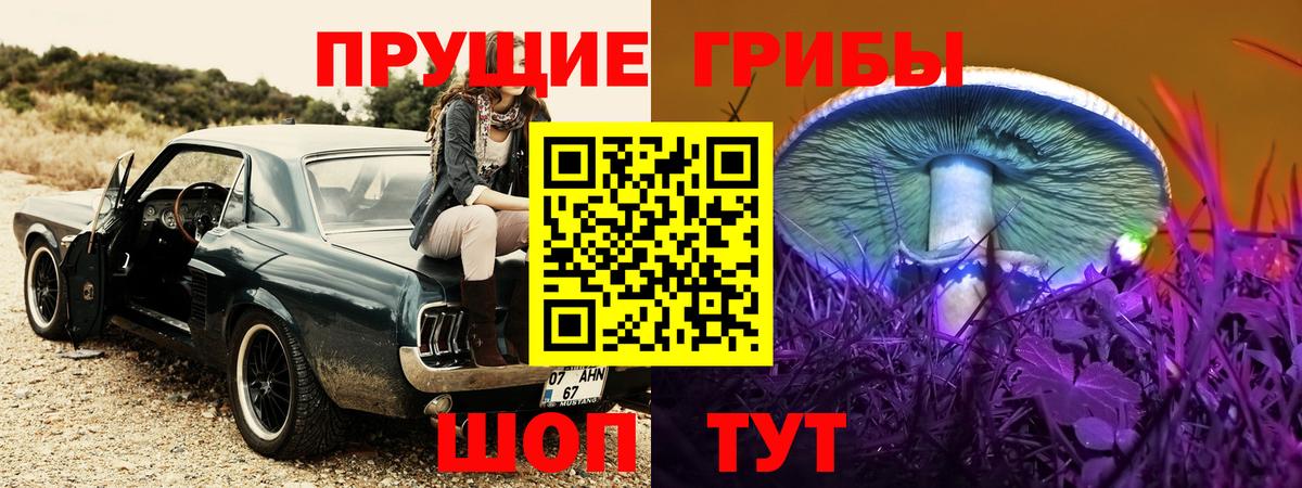 Псилоцибиновые грибы прущие грибы Губкинский