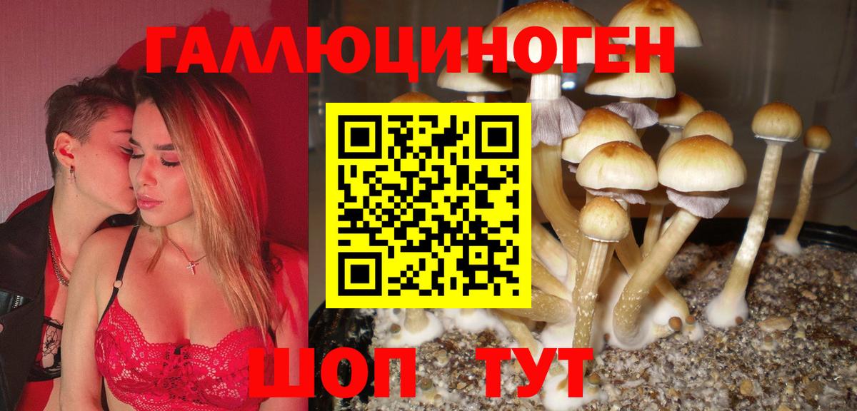 Псилоцибиновые грибы MAGIC MUSHROOMS  Псилоцибиновые грибы MAGIC MUSHROOMS  Губкинский 